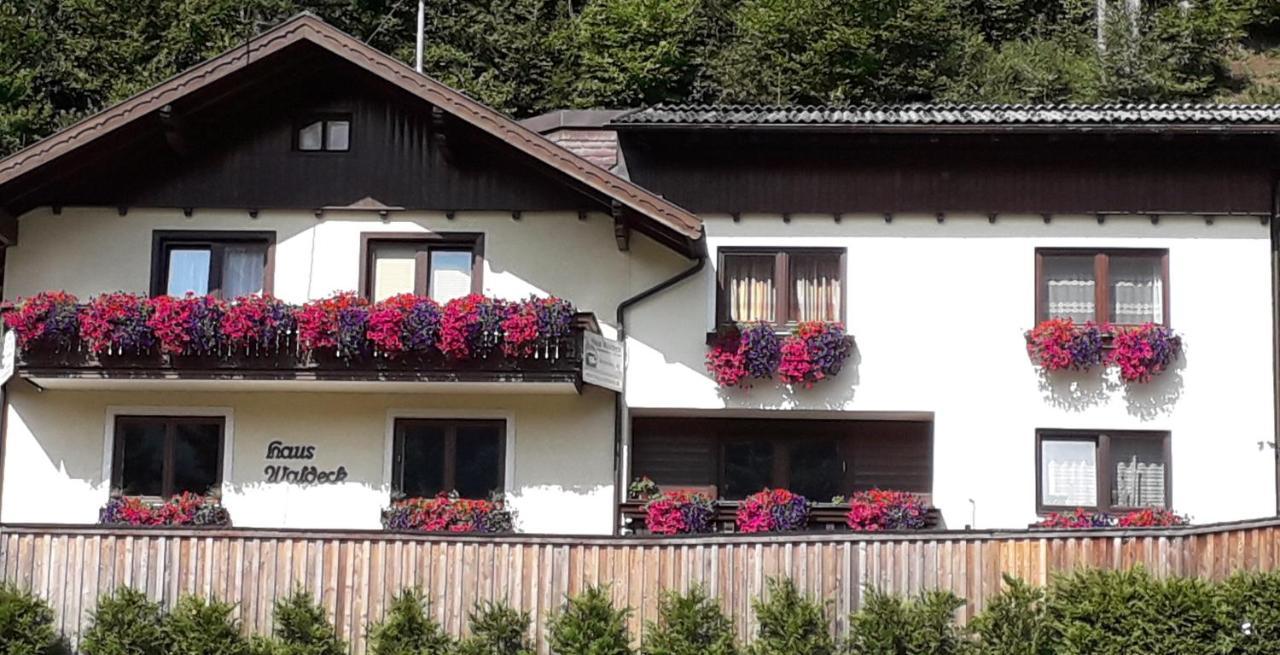 My Appartement - Haus Waldeck Schladming Extérieur photo